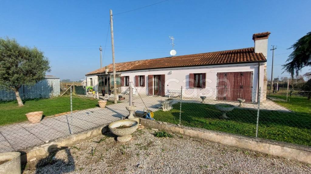 Villa in vendita a Cavarzere boscochiaro - Via Liberazione, 59