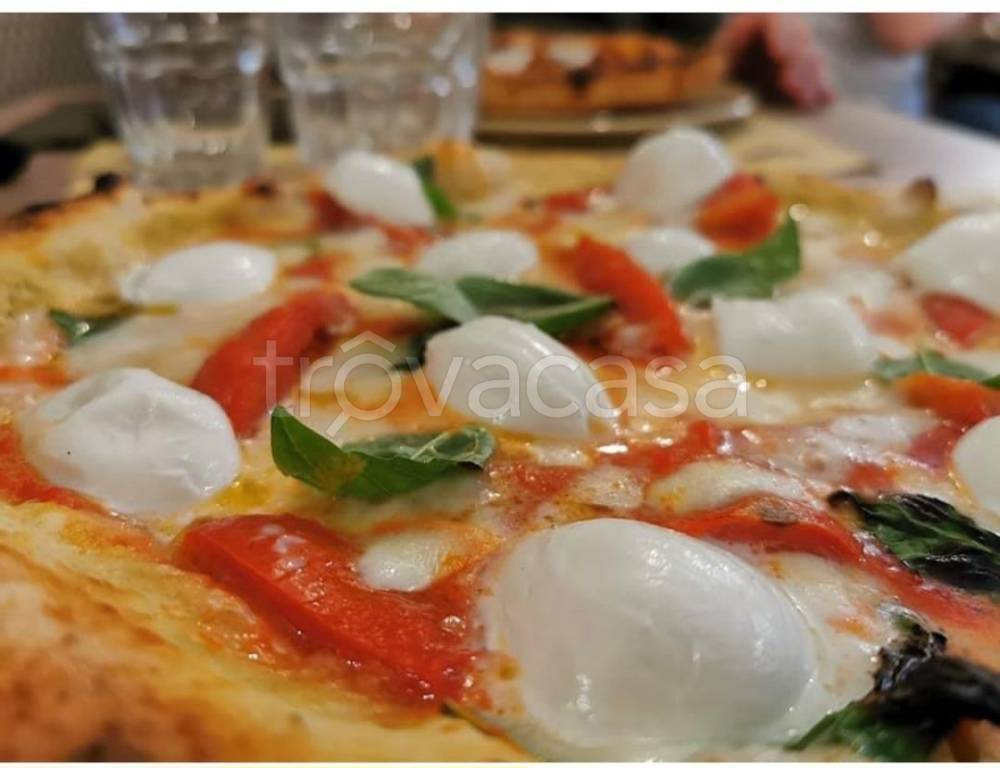 Pizzeria in in vendita da privato a Cecina viale della Repubblica, 32