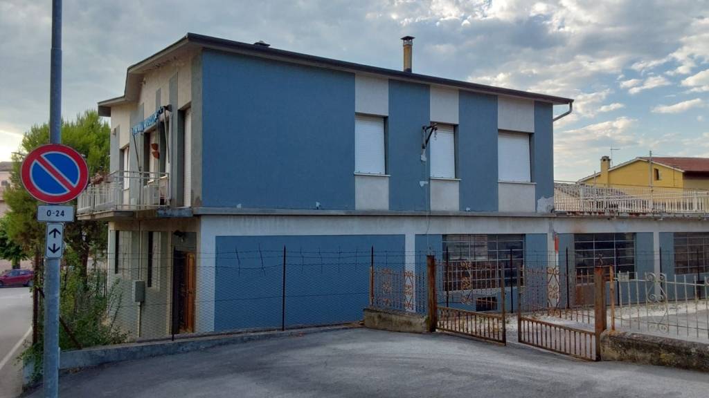 immagine annuncio 5 di 14