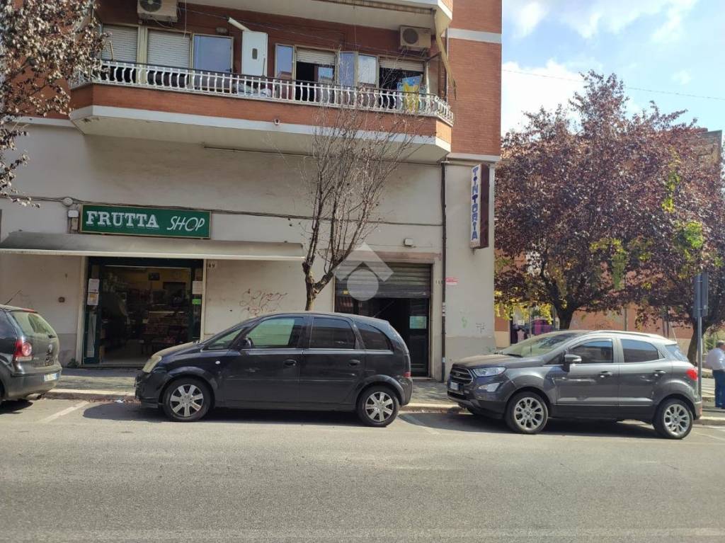 immagine annuncio 12 di 13