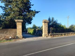 Terreno agricolo in affitto a carini ss113