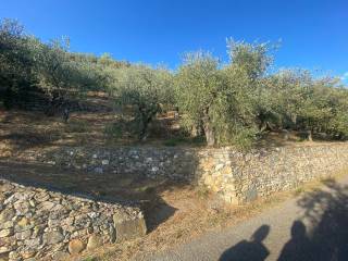 Terreno agricolo in vendita a buti via dei maggi butesi