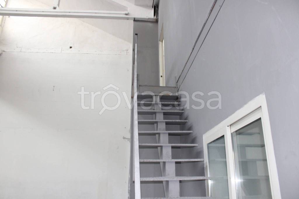 immagine annuncio 6 di 9