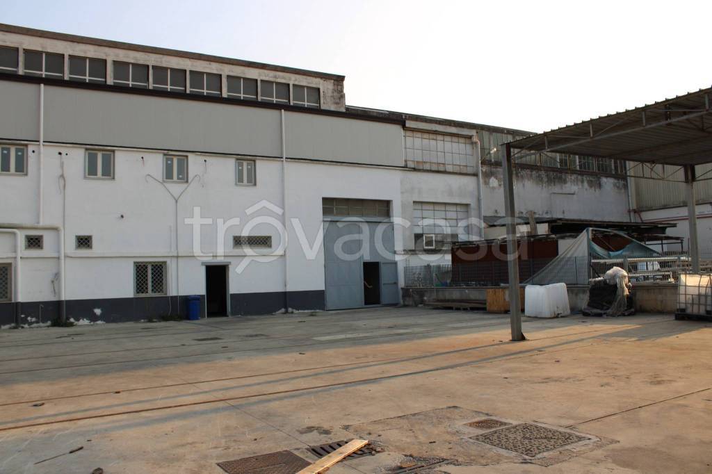 immagine annuncio 1 di 8