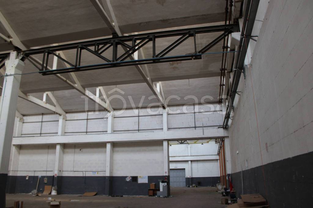 immagine annuncio 4 di 8