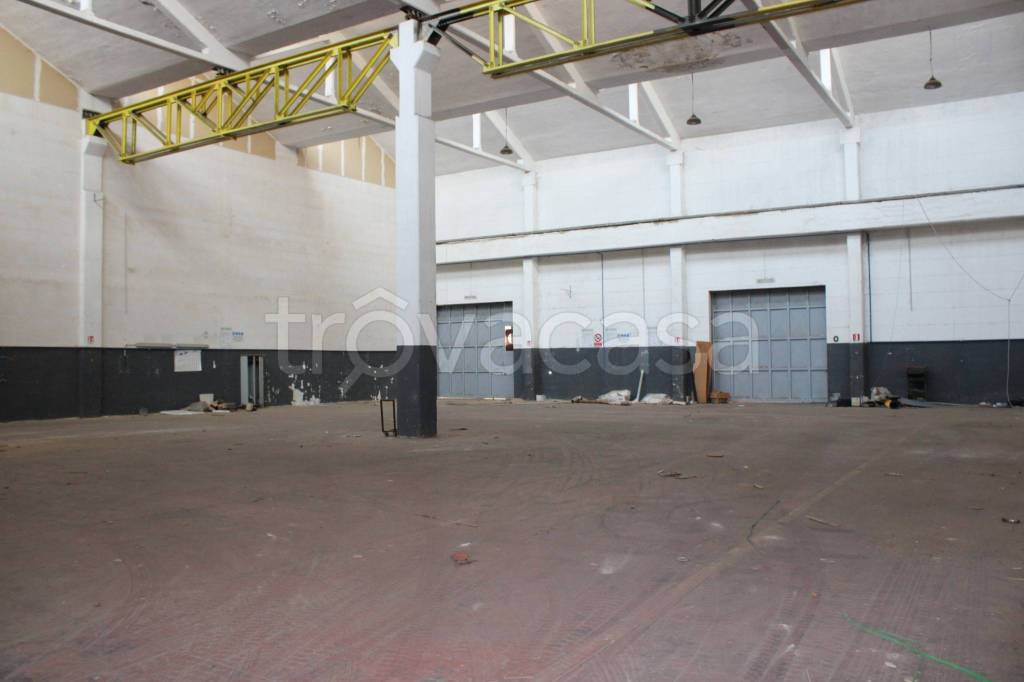 immagine annuncio 5 di 8