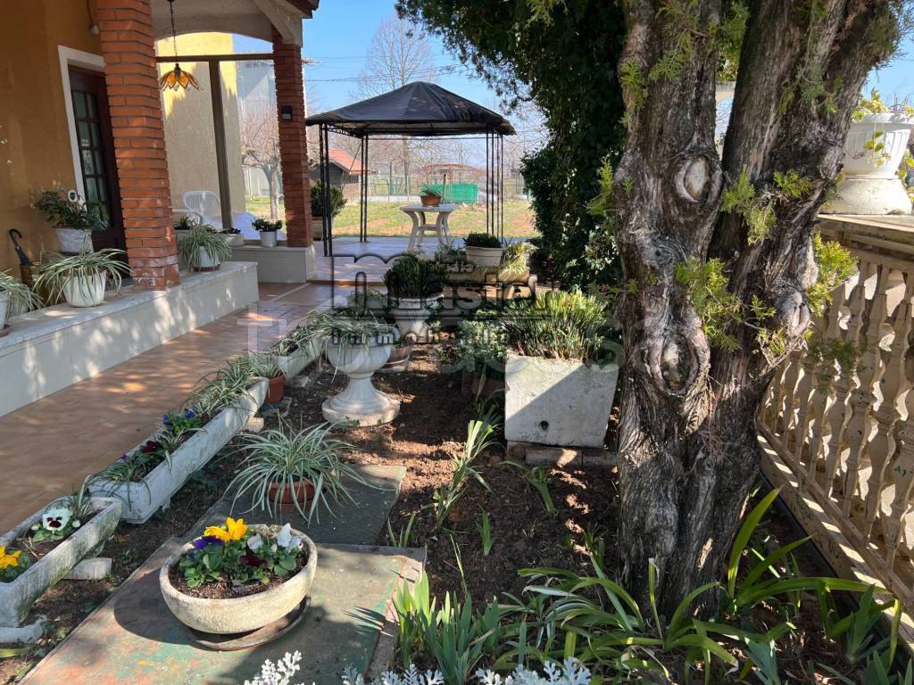 immagine annuncio 3 di 13