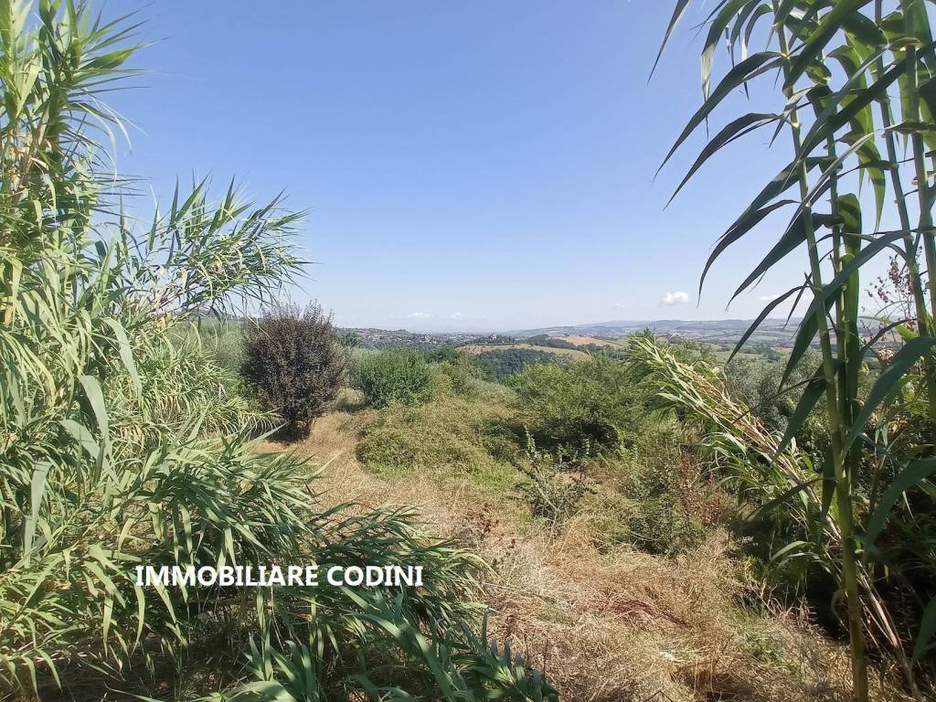 immagine annuncio 4 di 6