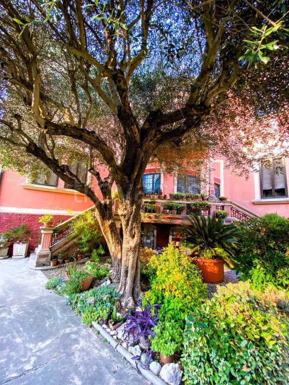 Villa Bifamiliare in vendita ad Adria via Ca' Cima