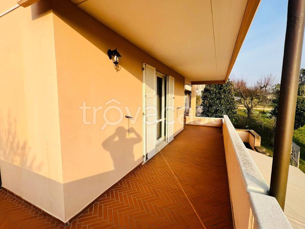 immagine annuncio 2 di 14