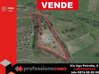 Terreno agricolo in vendita a castropignano strada statale 618