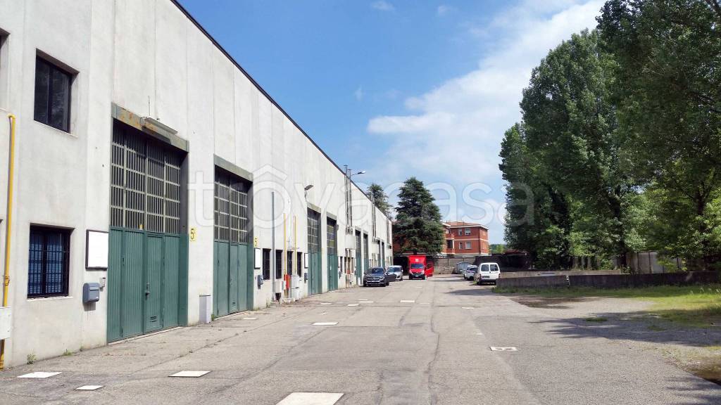 immagine annuncio 1 di 11