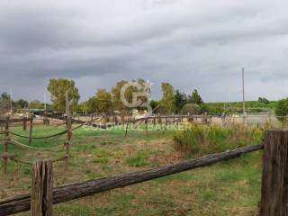 Terreno agricolo in vendita a tarquinia viale etruria, 1