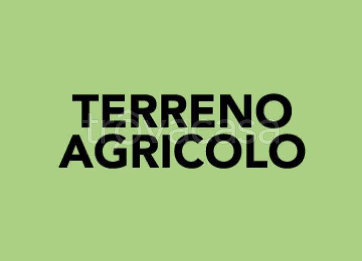 Terreno Agricolo in vendita a Corciano via Sasseto di Sopra
