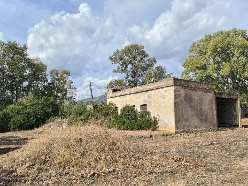 immagine annuncio 6 di 11