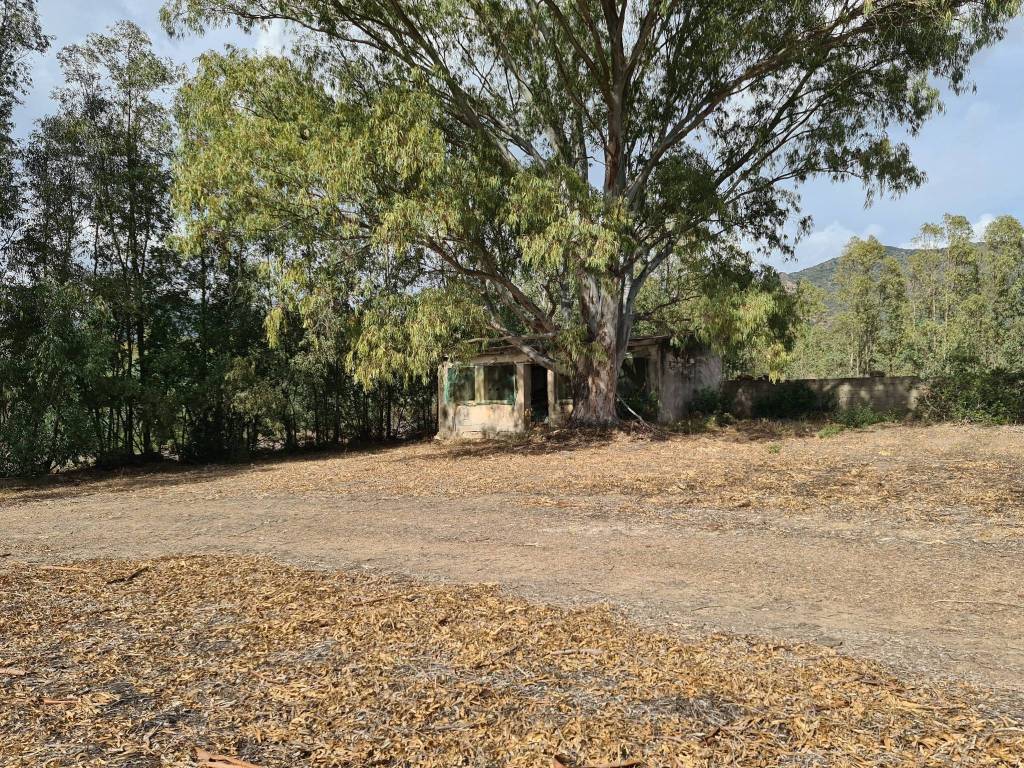 immagine annuncio 7 di 11