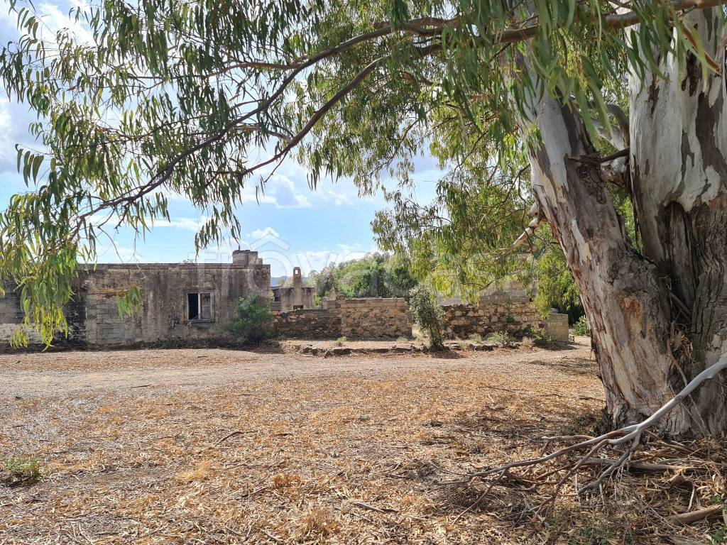 immagine annuncio 8 di 11