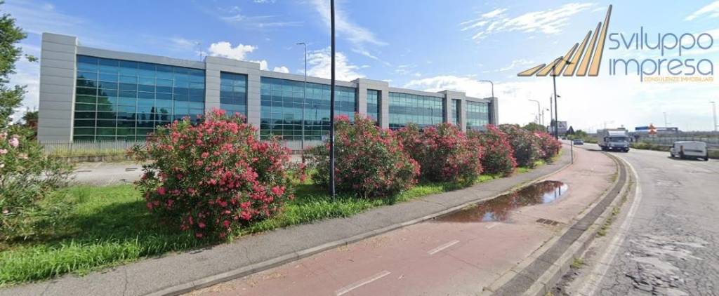 immagine annuncio 9 di 13