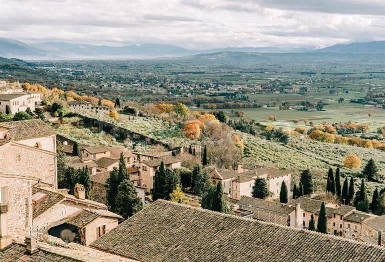 immagine annuncio 5 di 8