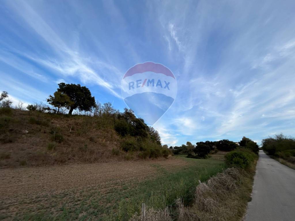 immagine annuncio 7 di 14