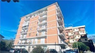 Appartamento in in vendita da privato a Castrovillari via Galeno, 55