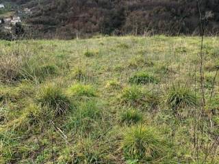 Terreno agricolo in vendita a cosenza 