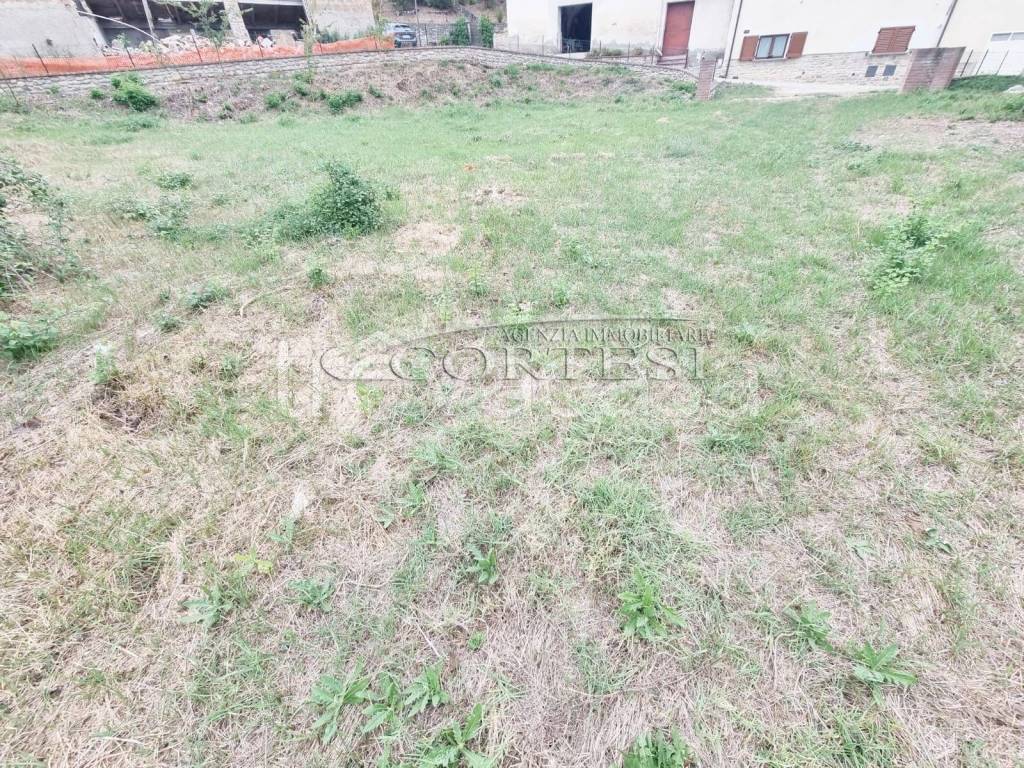 immagine annuncio 2 di 6