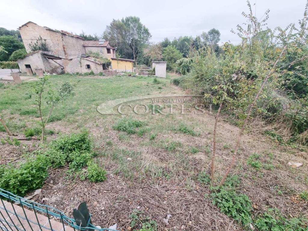 immagine annuncio 3 di 6