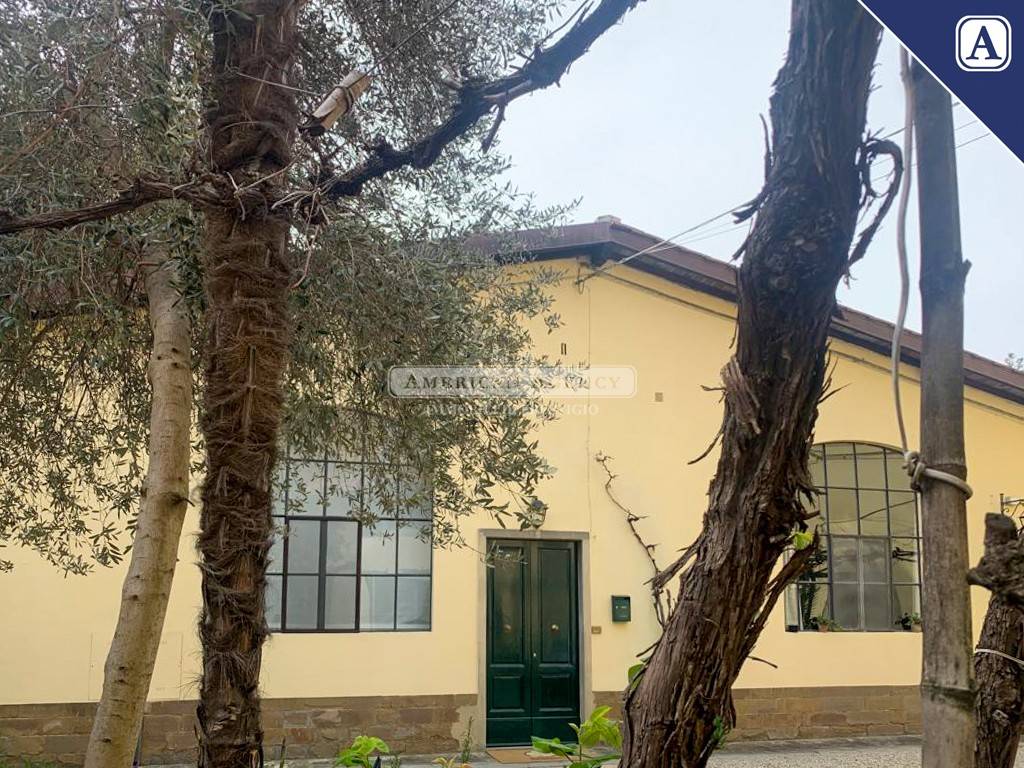 immagine annuncio 5 di 9