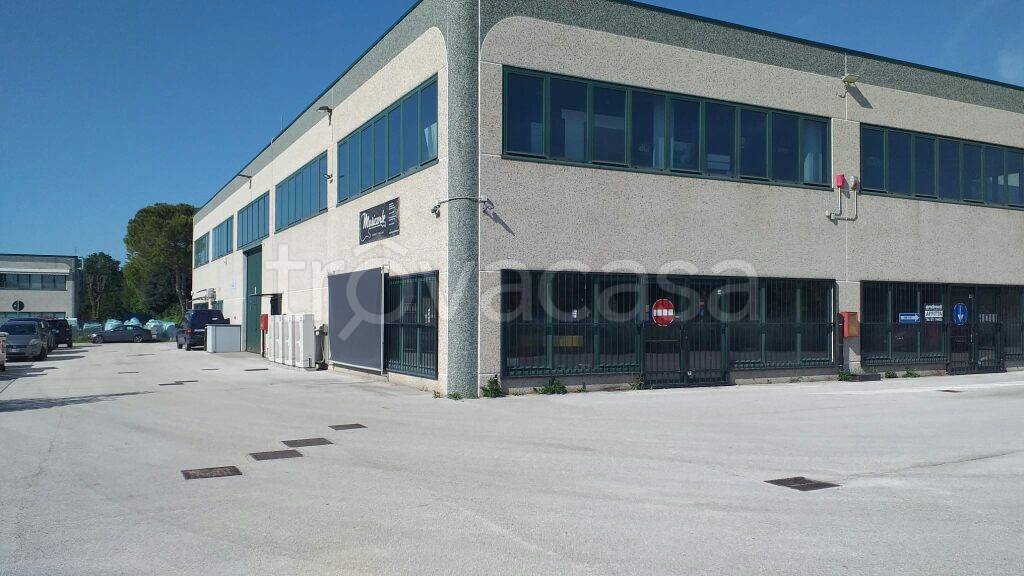 Capannone Industriale in affitto a Chiaravalle