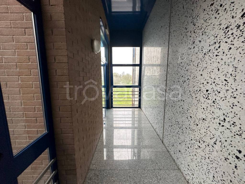 immagine annuncio 6 di 9