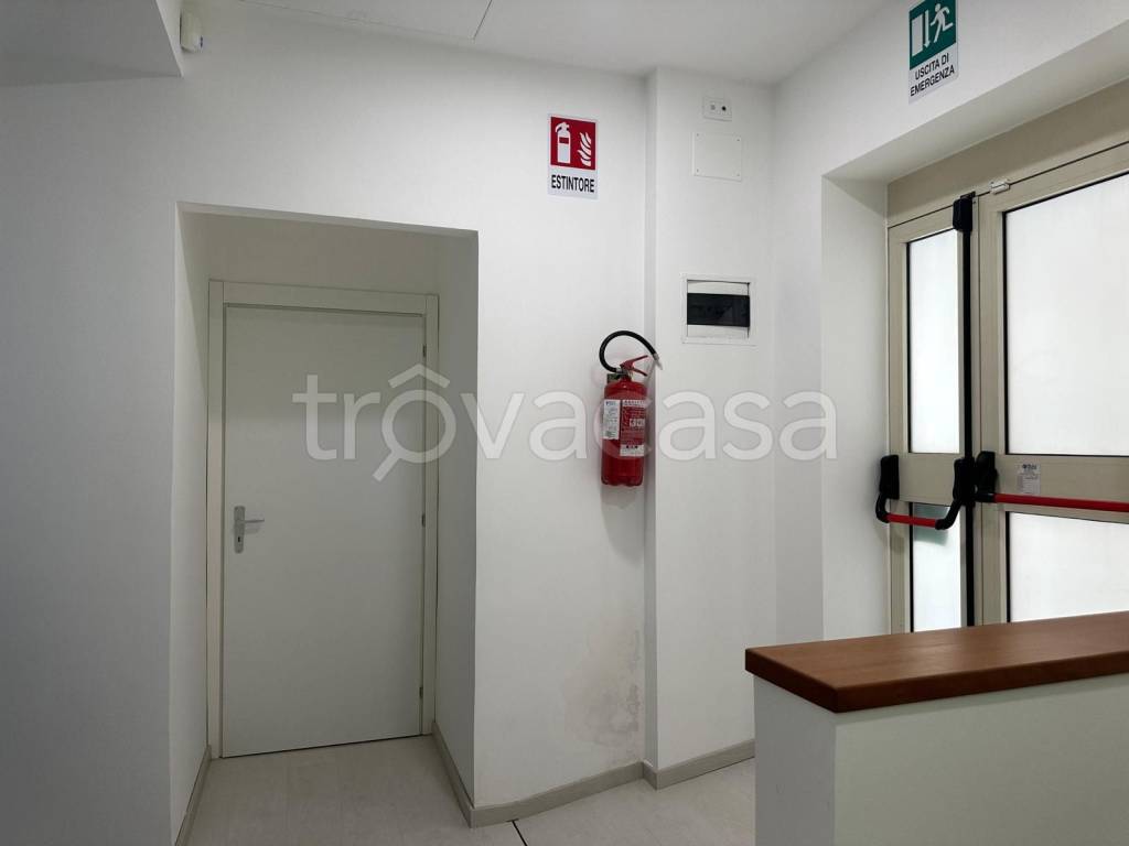 immagine annuncio 4 di 9