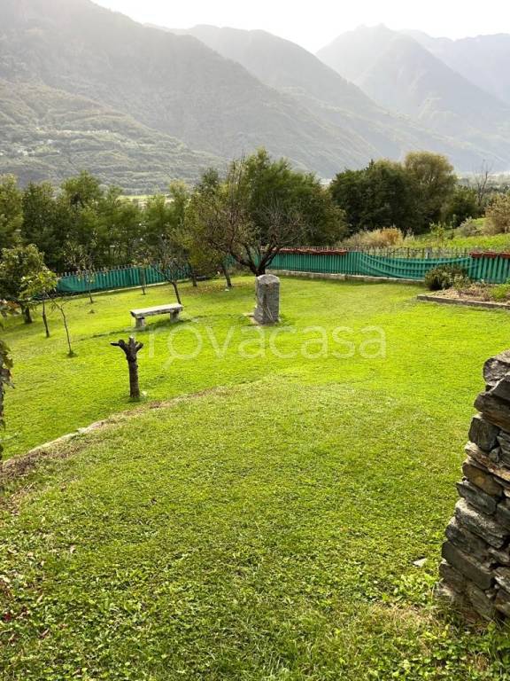 immagine annuncio 11 di 15