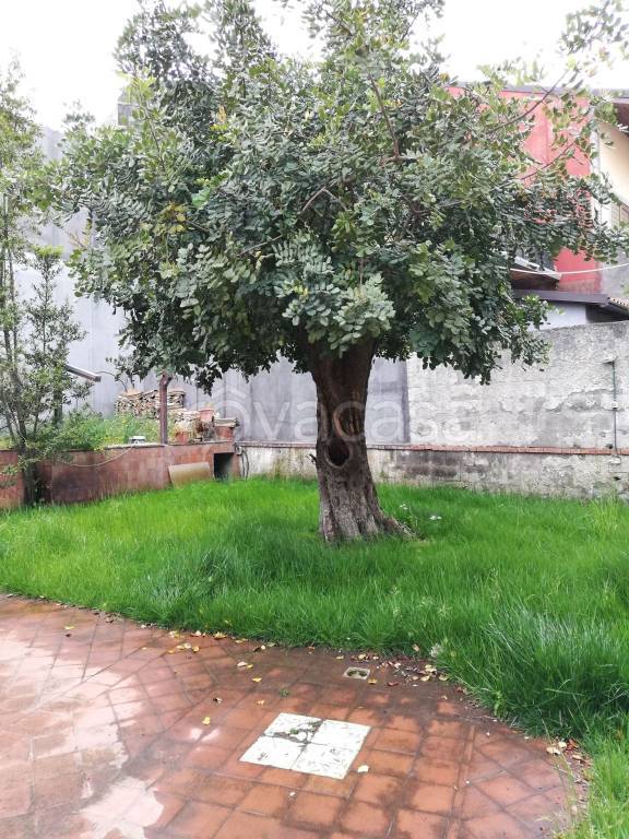 immagine annuncio 6 di 9