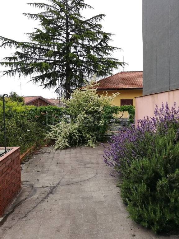 immagine annuncio 5 di 9