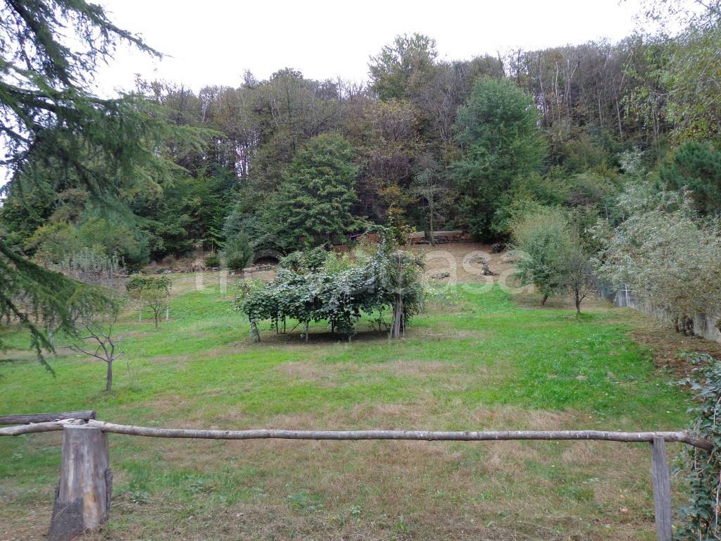 immagine annuncio 1 di 2