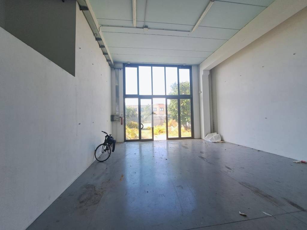 immagine annuncio 4 di 11