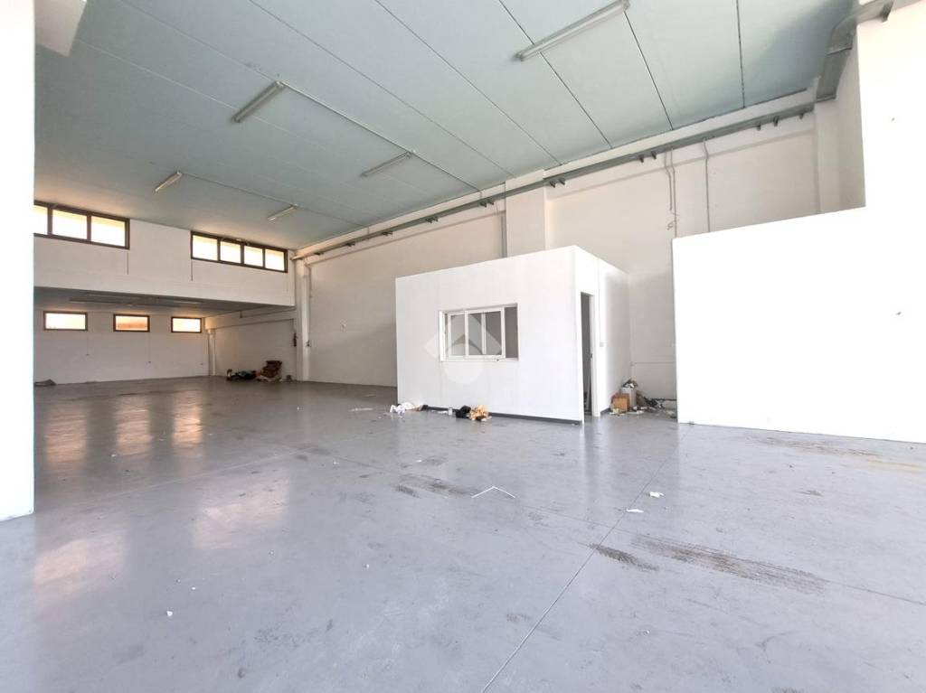 immagine annuncio 6 di 11