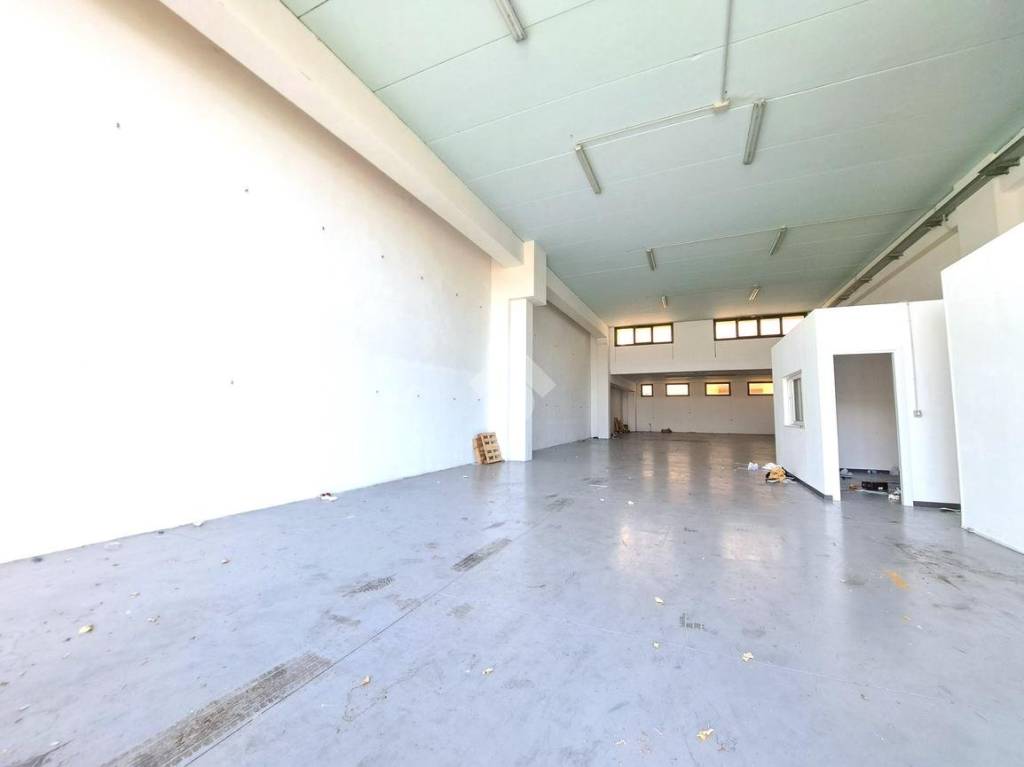 immagine annuncio 5 di 11