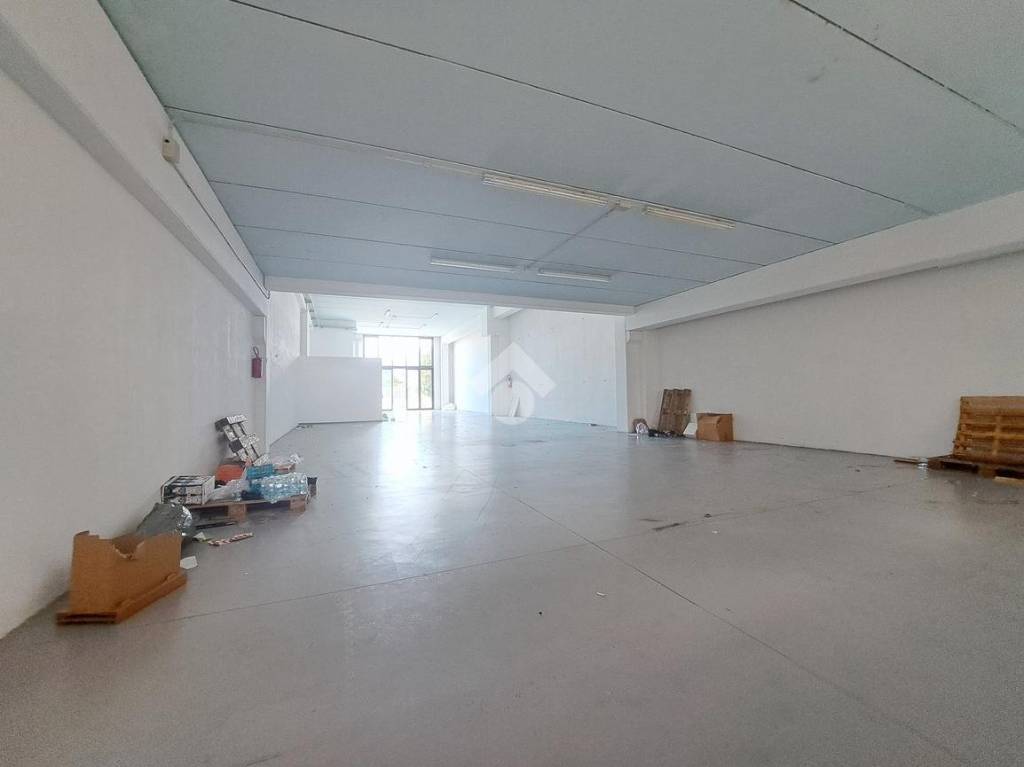 immagine annuncio 2 di 11