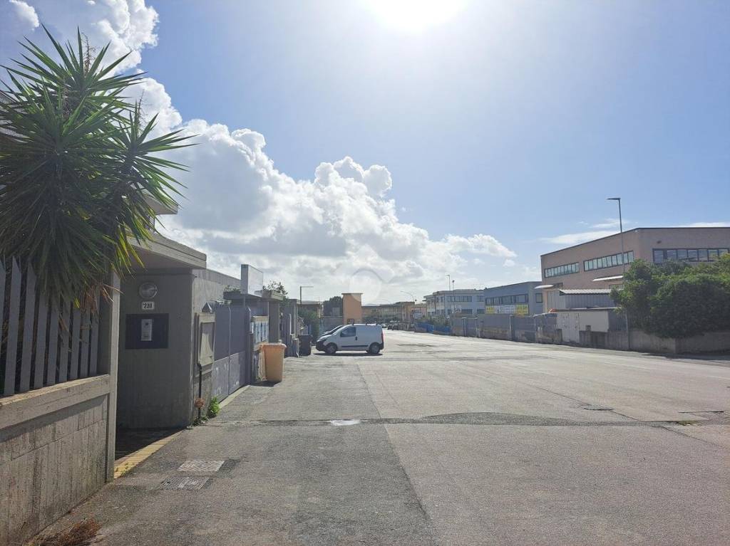 immagine annuncio 9 di 11