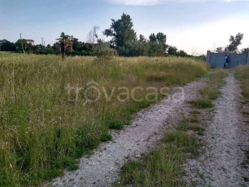 immagine annuncio 8 di 11