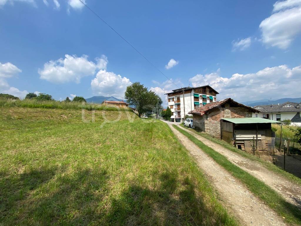 immagine annuncio 5 di 13