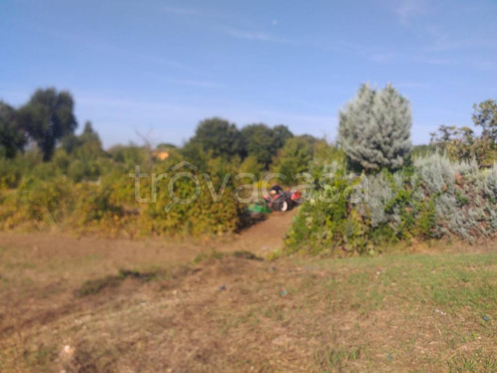 immagine annuncio 7 di 13