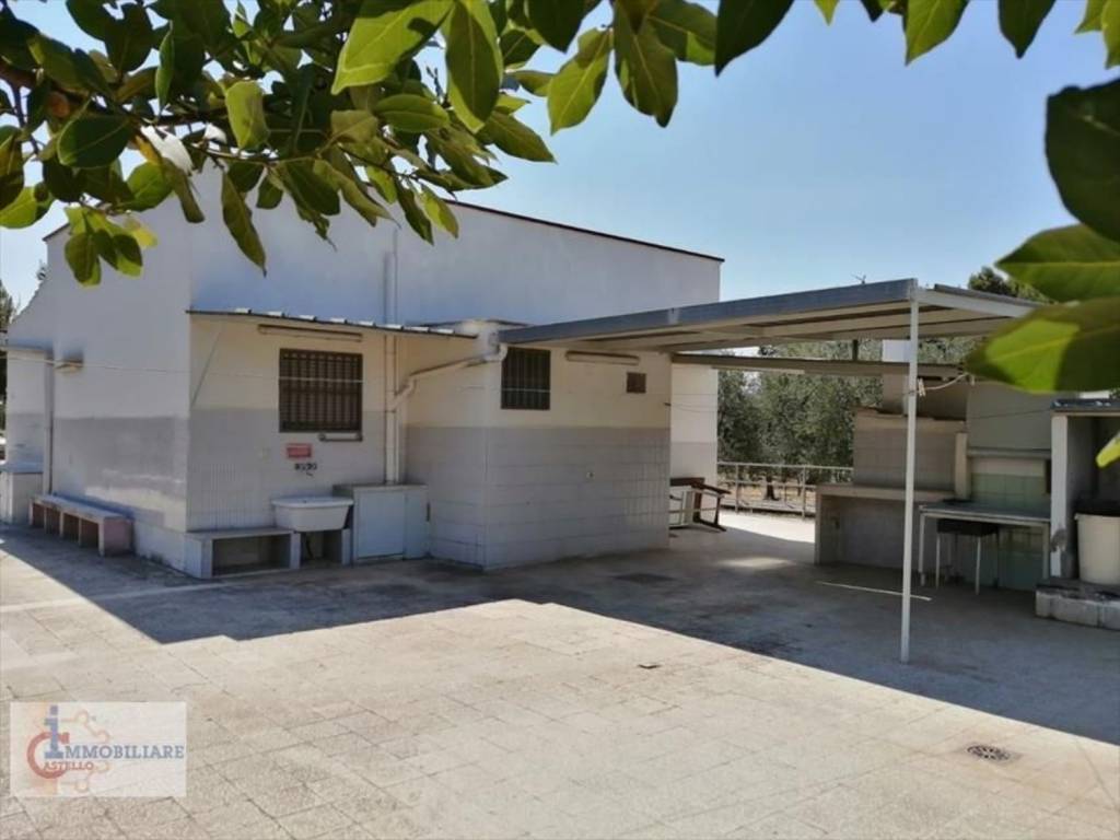 immagine annuncio 3 di 6