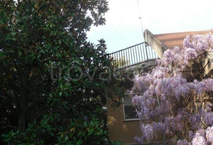 Villa Bifamiliare in in vendita da privato a Poggio Mirteto via Giacomo Matteotti, 59