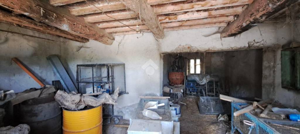 immagine annuncio 3 di 13