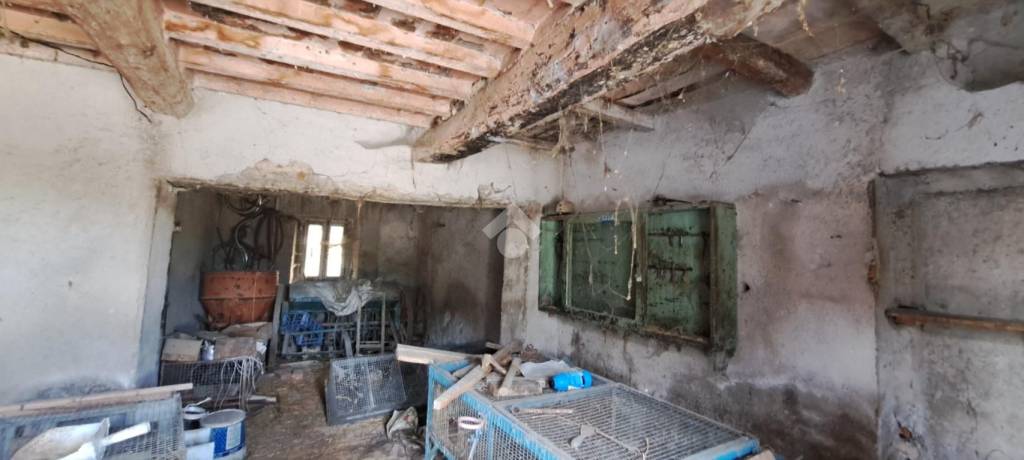 immagine annuncio 4 di 13