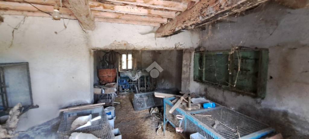 immagine annuncio 5 di 13