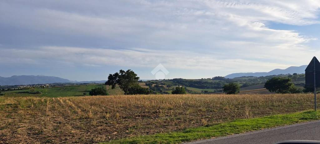 immagine annuncio 10 di 13